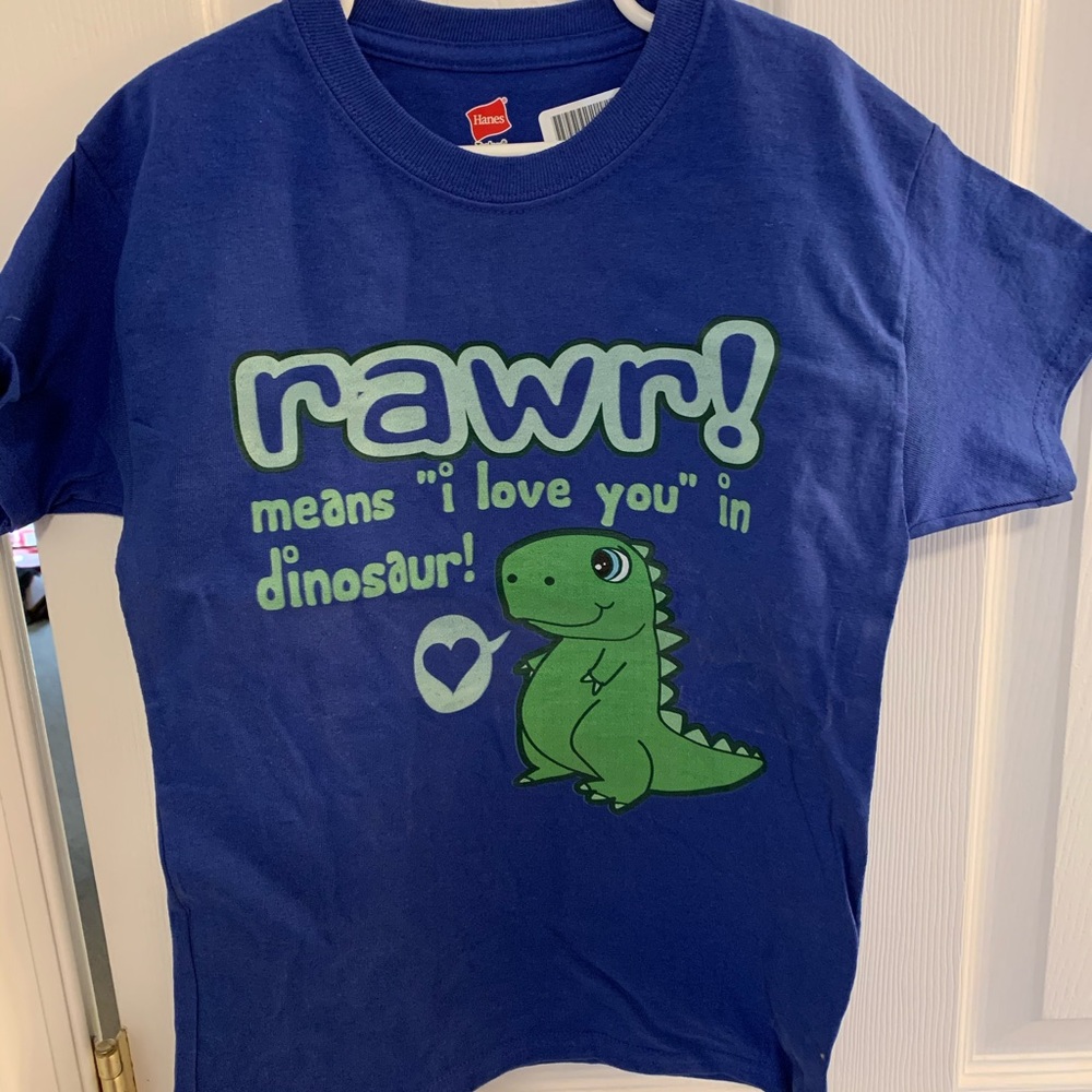 Little boys t shirt with dinosaur